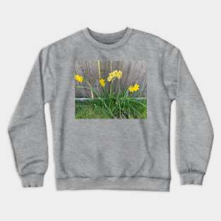 Daffodils Crewneck Sweatshirt